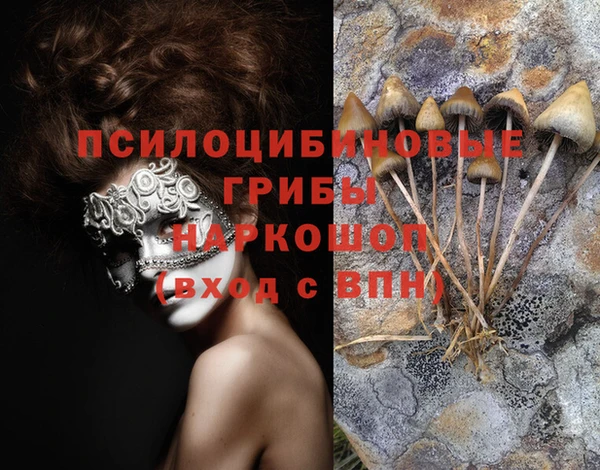 мет Дмитров