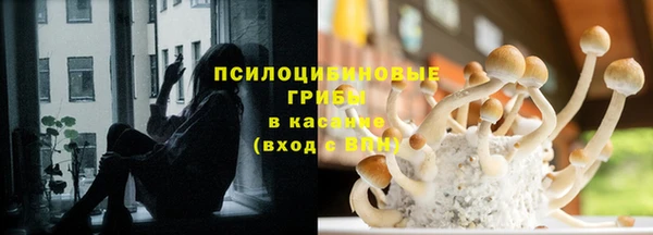 ECSTASY Новокубанск
