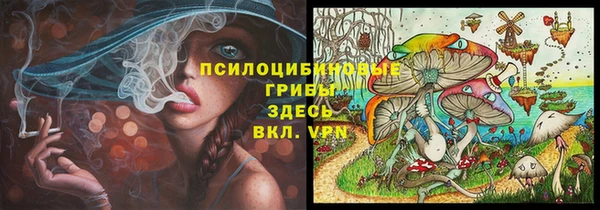 винт Новодвинск