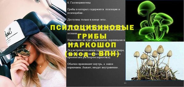 mix Новозыбков