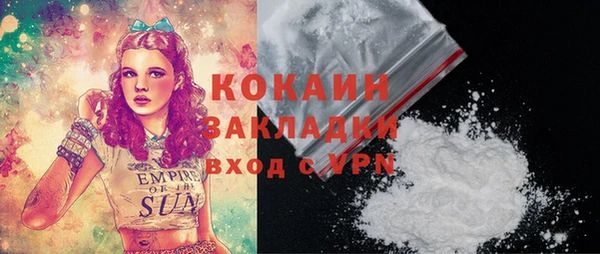 индика Дмитровск