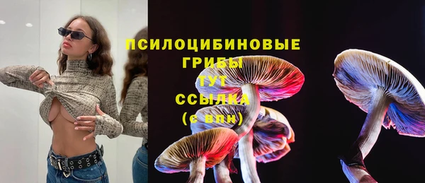 мет Дмитров